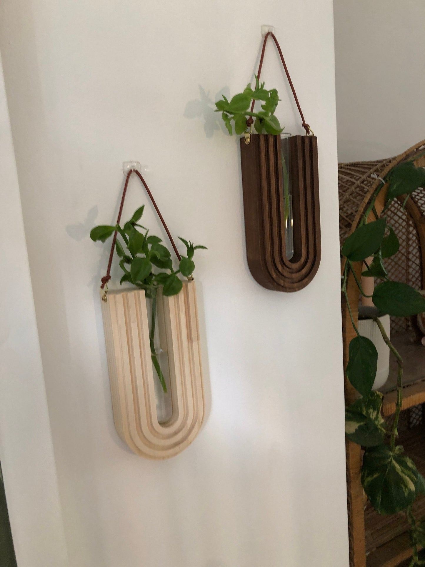 Wall Decor - Plant Propagation Station - Wooden Vase - Hanging Planter - Wall Planter Indoor - Gifts For Her - Gifts For Nature Lovers