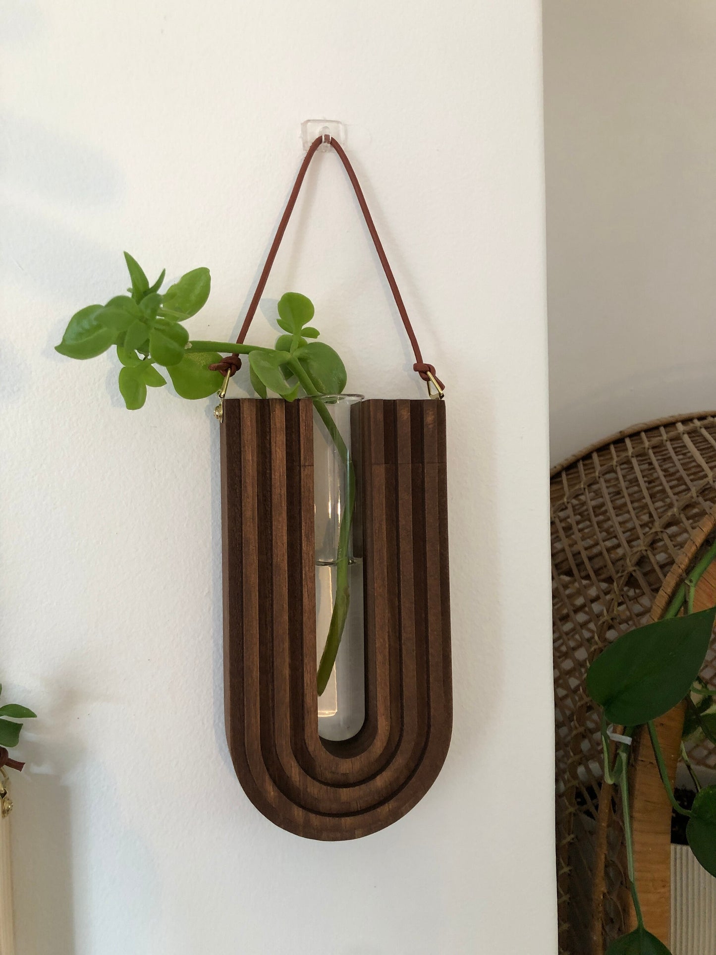 Wall Decor - Plant Propagation Station - Wooden Vase - Hanging Planter - Wall Planter Indoor - Gifts For Her - Gifts For Nature Lovers