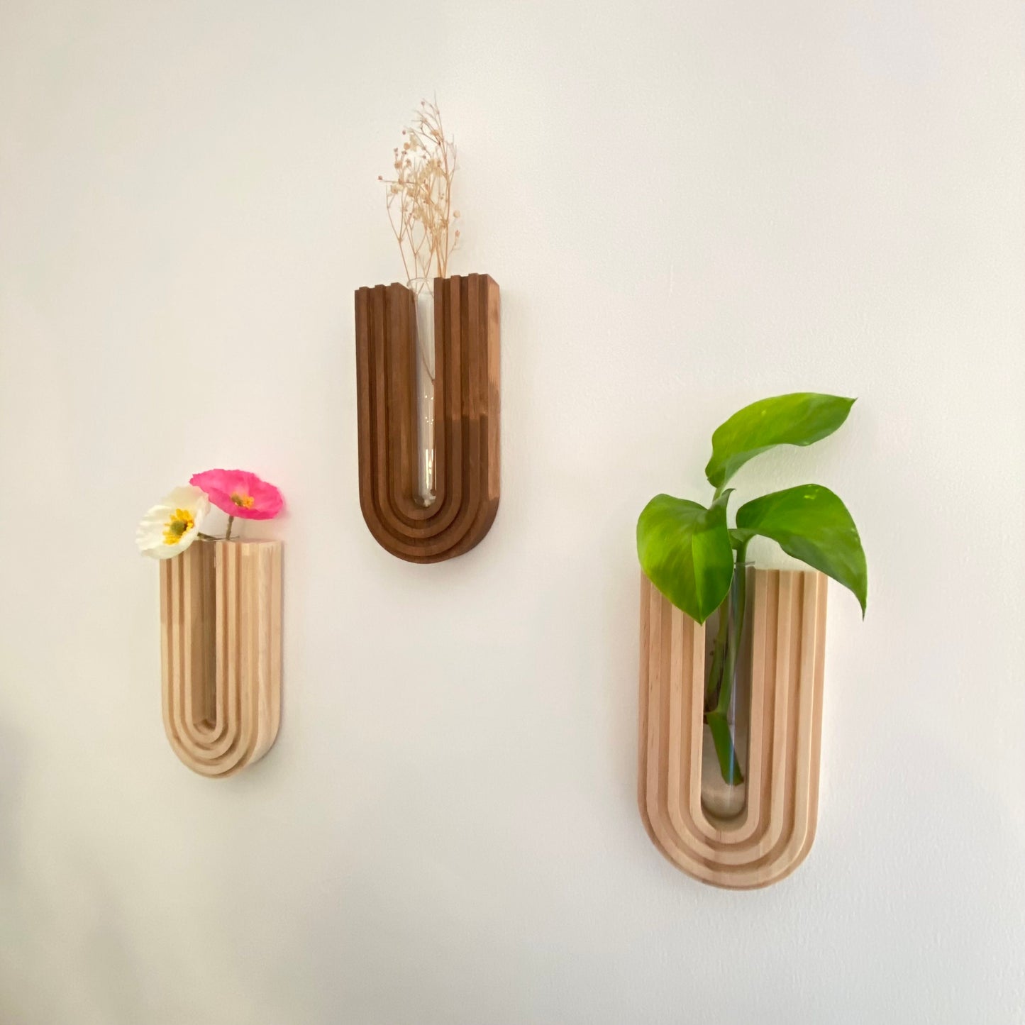 Wooden Wall Propagation Station - Hanging Plant Holder with Glass Test Tube - Indoor Wall Planter Decor - Handcrafted Gift Nature Lovers